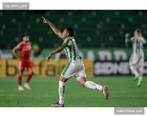 巴甲赛季尾声争冠保级悬念 收视率创新高